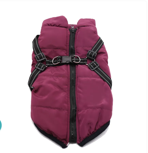 Winter Dog Coat