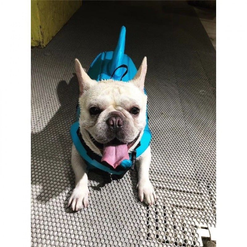 Hunde-Schwimmweste für sicheres Schwimmen – Verstellbare Auftriebsweste für Hunde