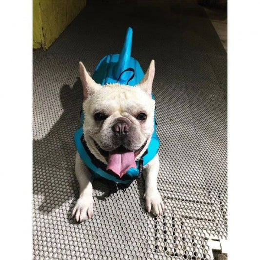 Dog Life Jacket for Safe Swimming — Adjustable Buoyancy Vest for Dogs