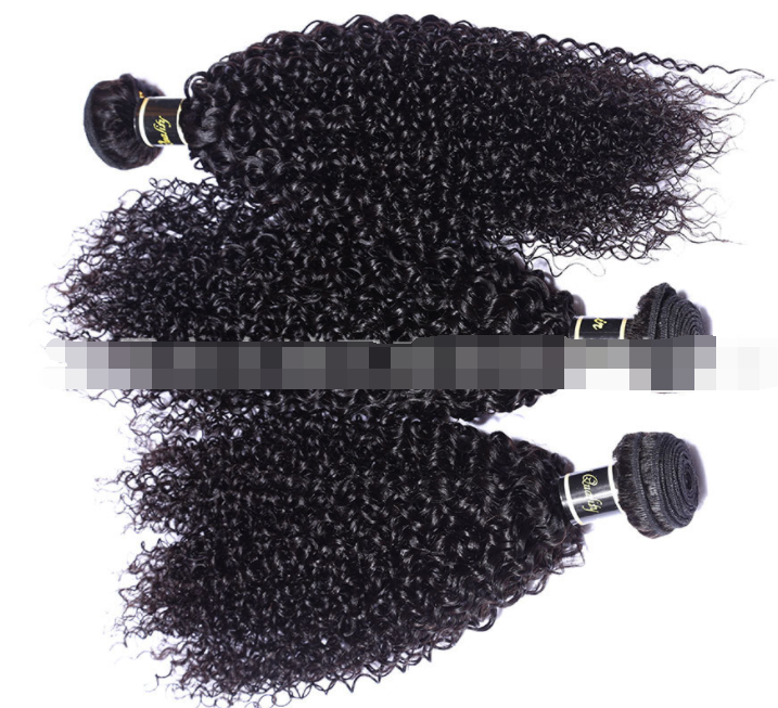 Malaysian Human Hair Wig & Extensions