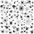 XIYOKA Spider Web Temporary Tattoos, 80+ Pieces