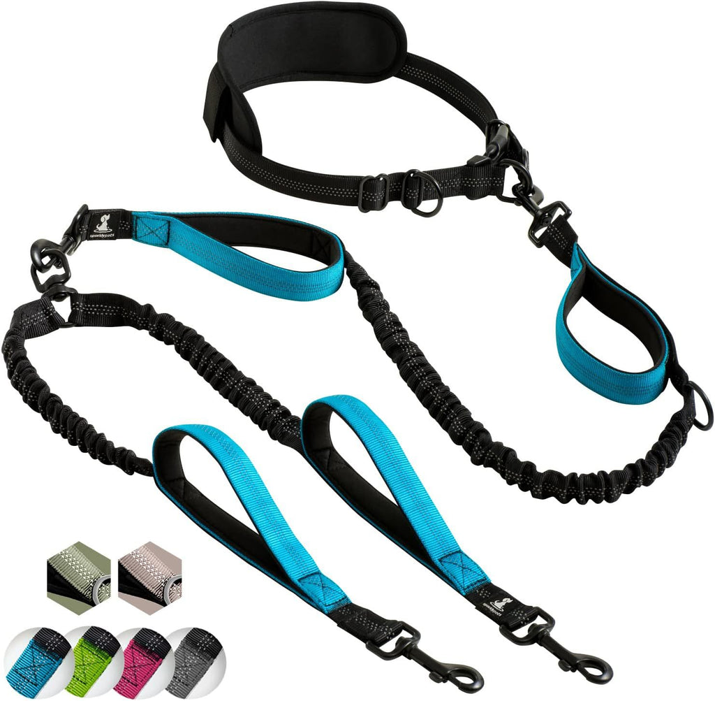 Laisse multi-fonctions réglable pour chien – Laisse de dressage pour chiens