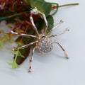 Gem-Effect Spider Brooch