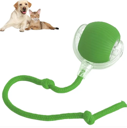 Smart Rolling Pet Ball | Interactive Cat & Dog Toy