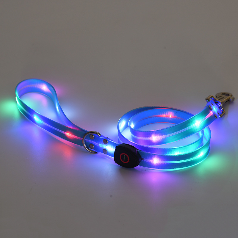 USB Rechargeable LED Dog Collar and Lead Options
