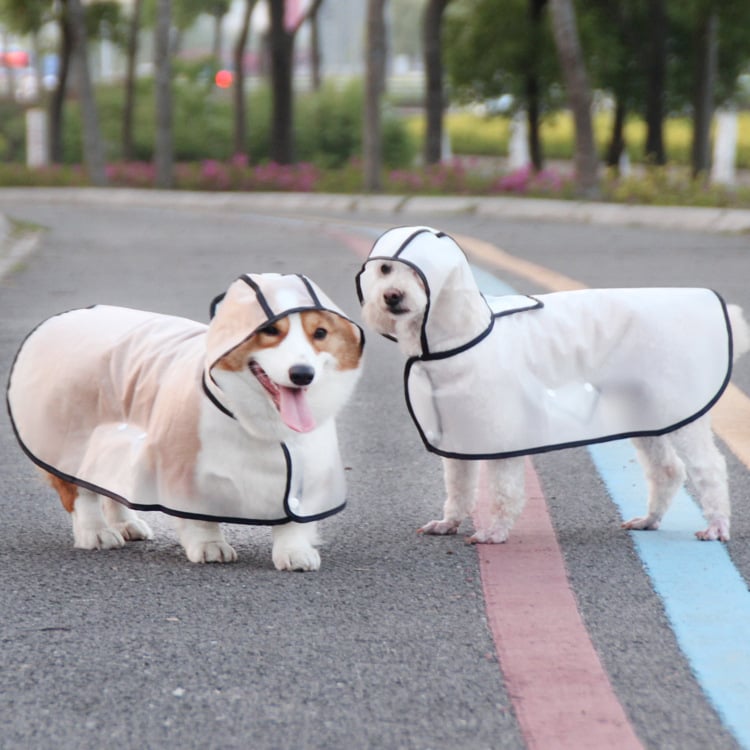 Transparent Pet Rain Cloak