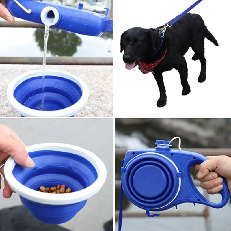Dog Lead and Set Options