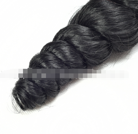 Loose Wave Human Hair Wig & Extension Panel