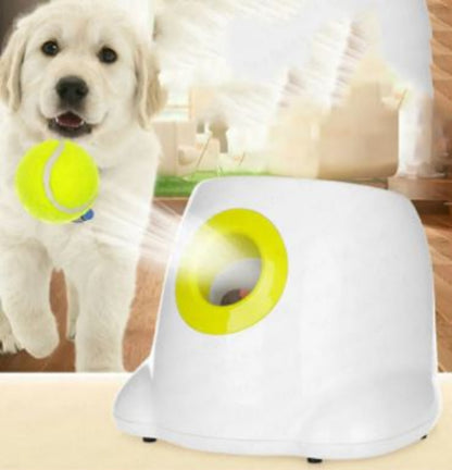 Automatic Interactive Dog Ball Launcher | Self-Play Fetch Machine