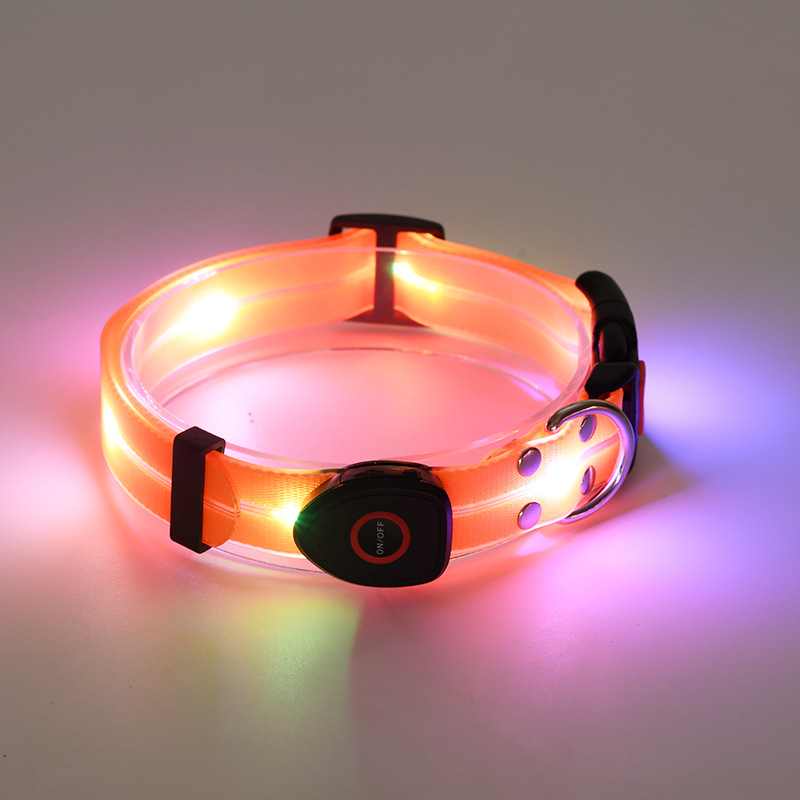 USB Rechargeable LED Dog Collar and Lead Options