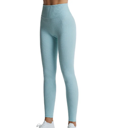 FlexFit Seamless High Waist Yoga Leggings