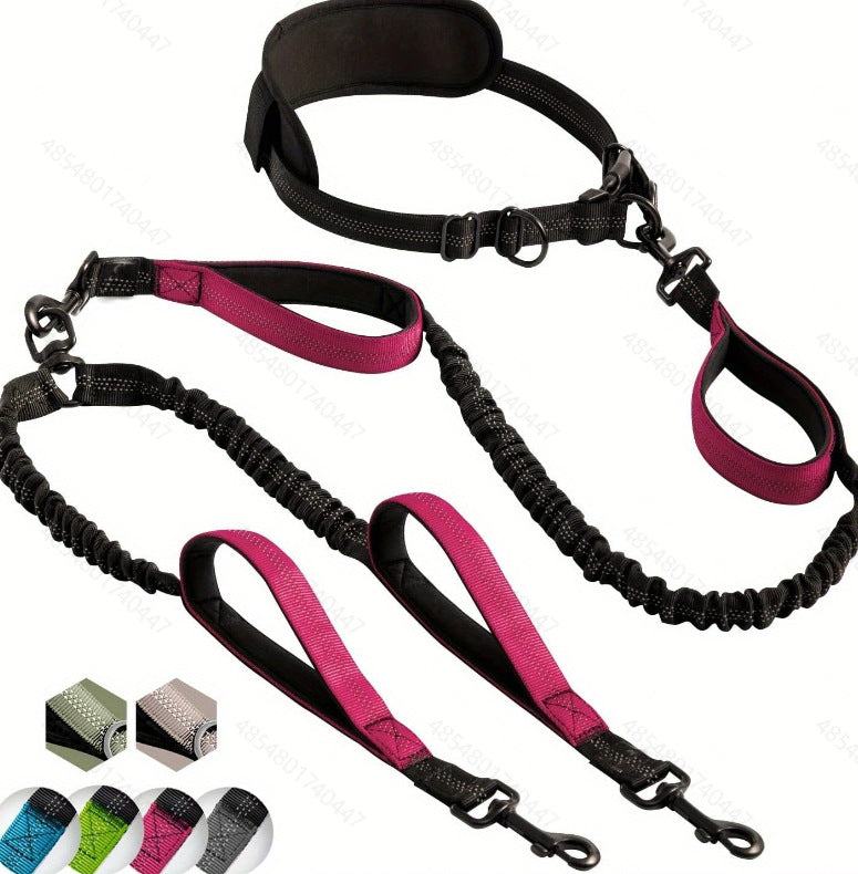 Laisse multi-fonctions réglable pour chien – Laisse de dressage pour chiens