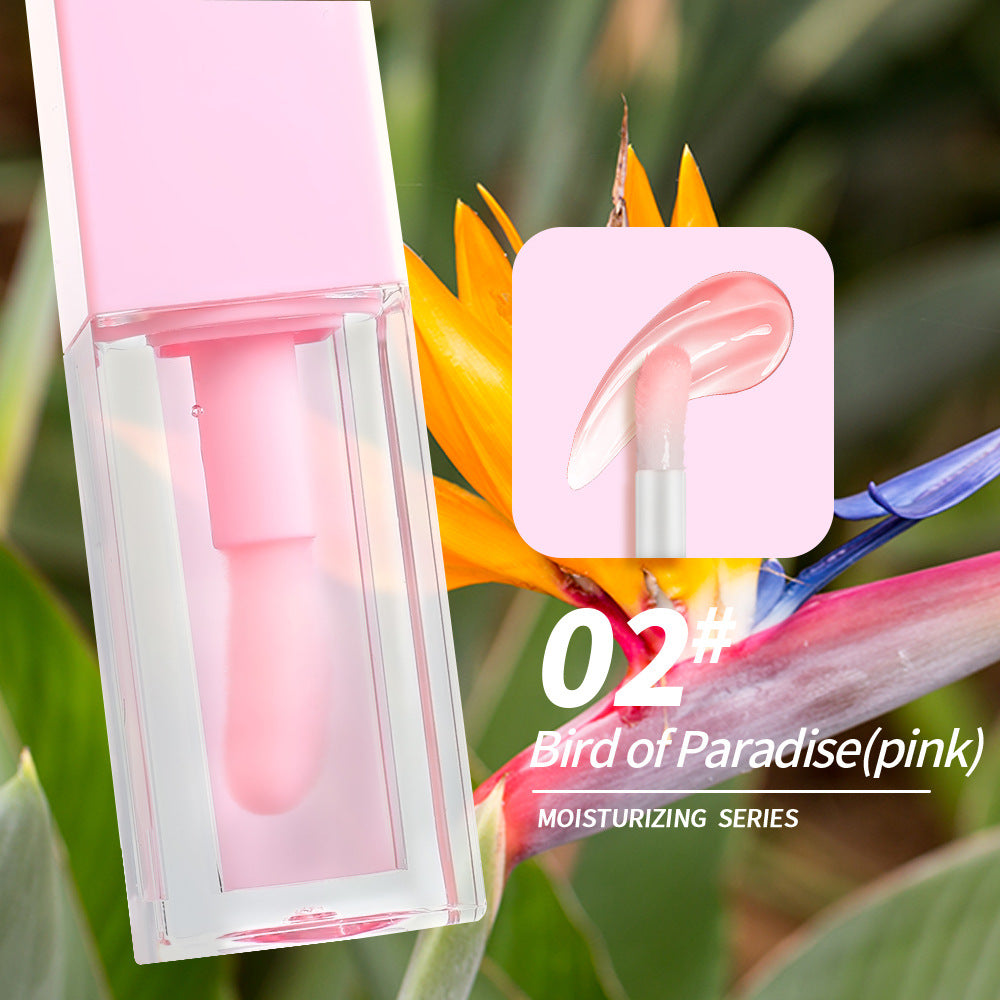 Colour Changing Moisturizing Lip Gloss – pH-Reactive Tinted Shine