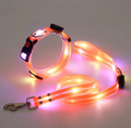 USB Rechargeable LED Dog Collar and Lead Options