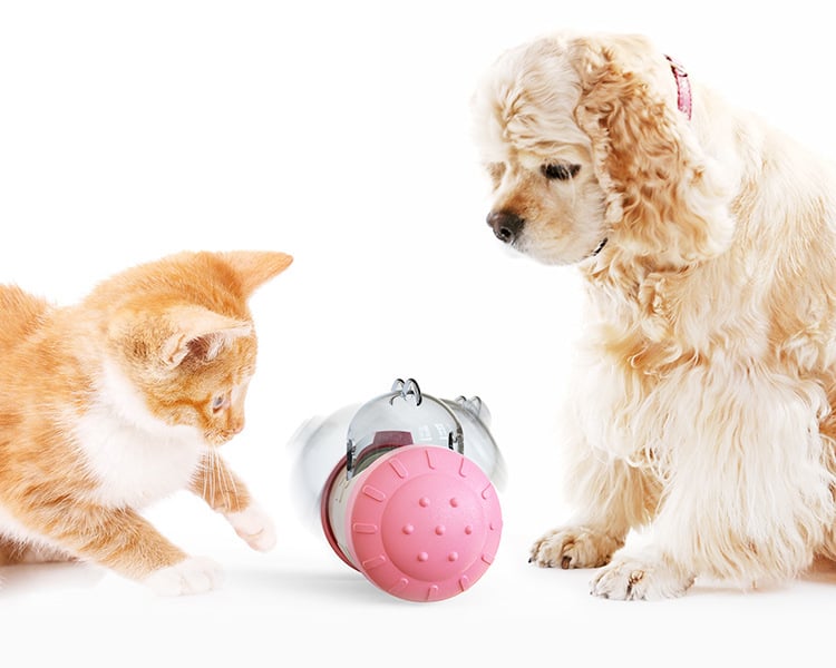 Taumelndes Teasing Katzenspielzeug – Interaktives Schaukelball-Spielzeug für Katzen und Kätzchen