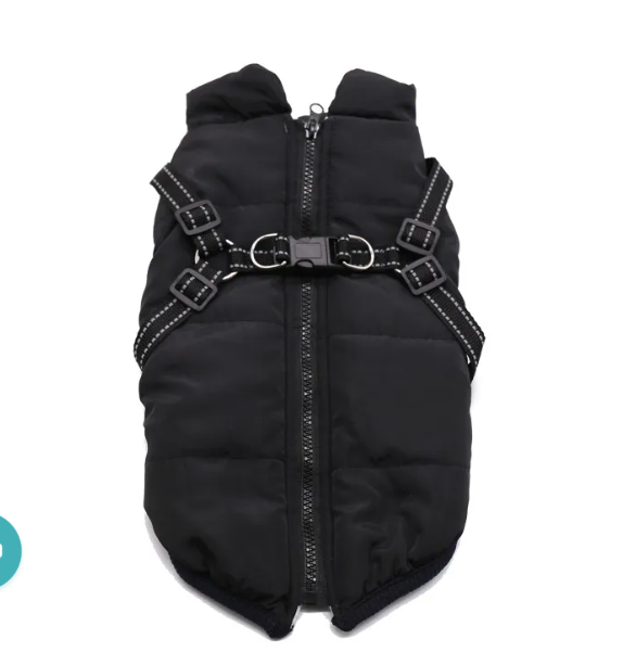 Winter Dog Coat