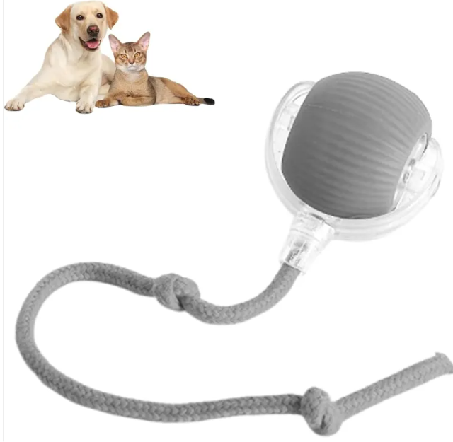 Smart Rolling Pet Ball | Interactive Cat & Dog Toy