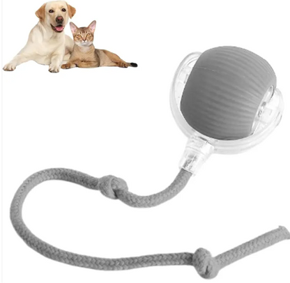 Smart Rolling Pet Ball | Interactive Cat & Dog Toy