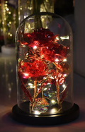Decorative Rose Under Glass Dome