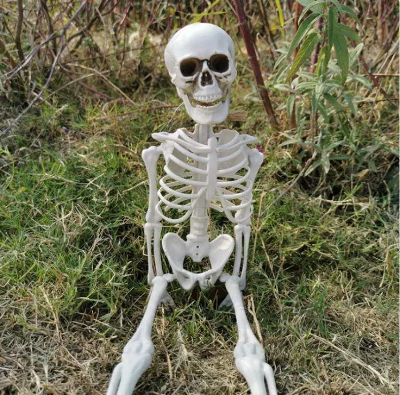 Realistic White Halloween Skeleton Decoration