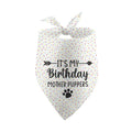 Geburtstags-Hundehalstuch | Foto-Requisite & Party-Accessoire „Ich habe Geburtstag“