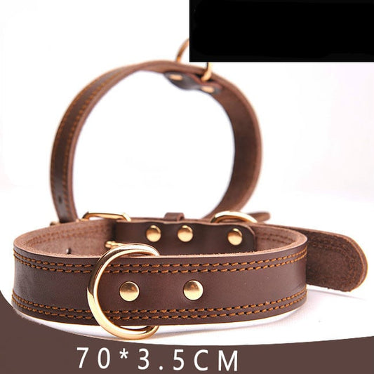Leather Dog Collar — Adjustable Durable Collar for Dogs