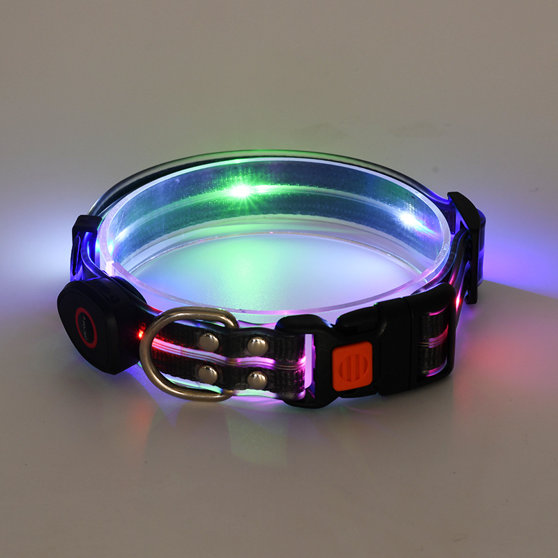 USB Rechargeable LED Dog Collar and Lead Options