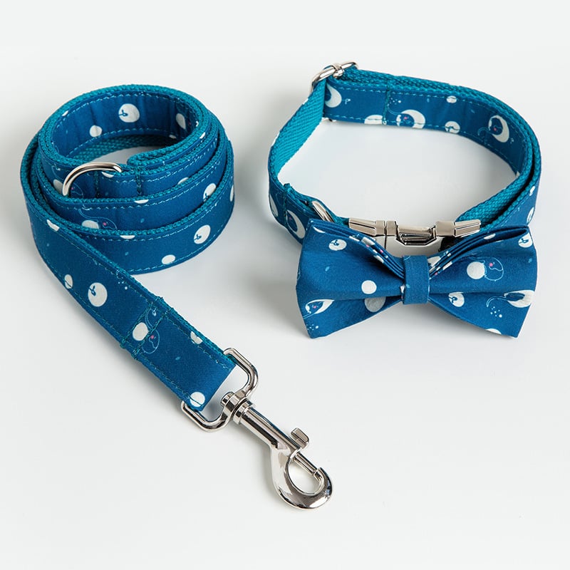 Hundehalsband-, Leinen- und Schleifen-Set — Stilvolle Haustieraccessoires für Hunde