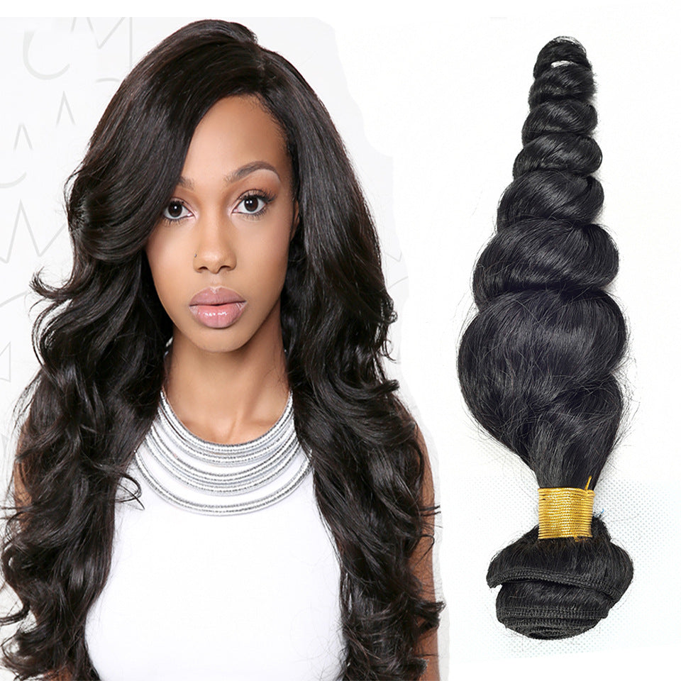 Loose Wave Human Hair Wig & Extension Panel